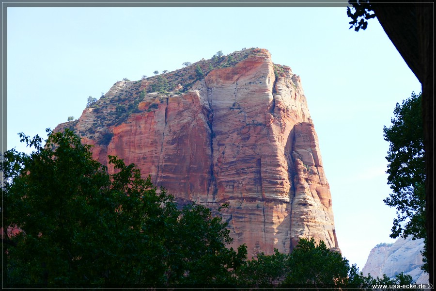 ZionNP2015_067