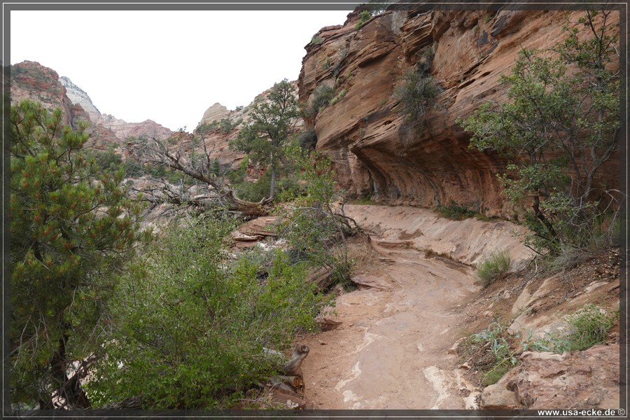 CanyonOverlook2017_003