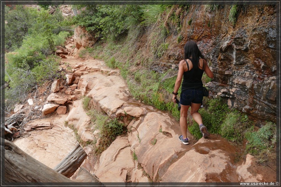 CanyonOverlook2017_013