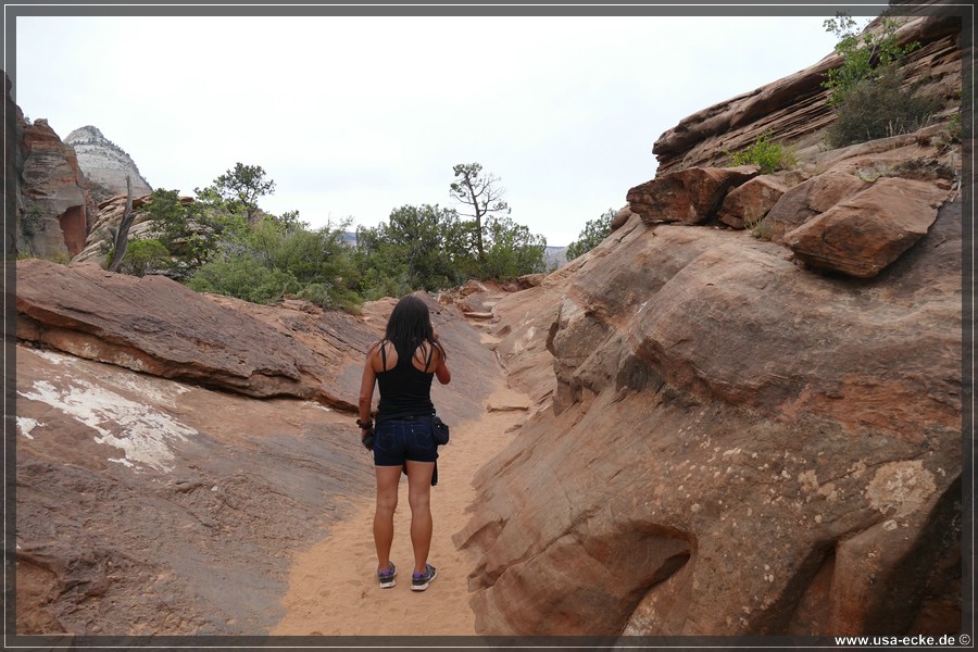 CanyonOverlook2017_018