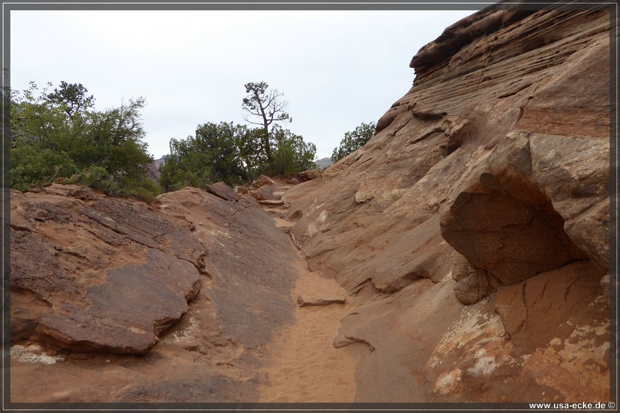 CanyonOverlook2017_019