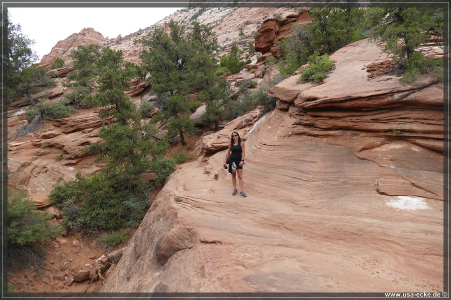 CanyonOverlook2017_021