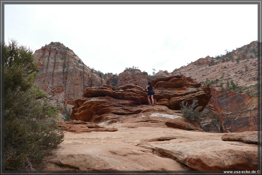 CanyonOverlook2017_029