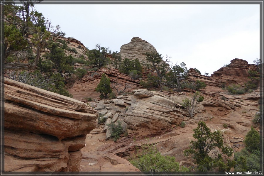 CanyonOverlook2017_037