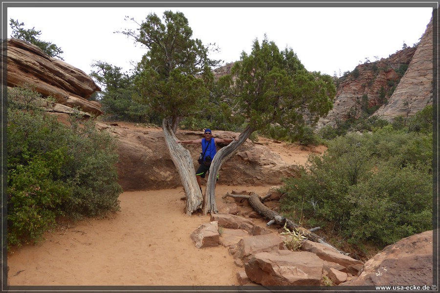 CanyonOverlook2017_038