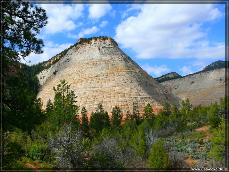 zion-np2011_02