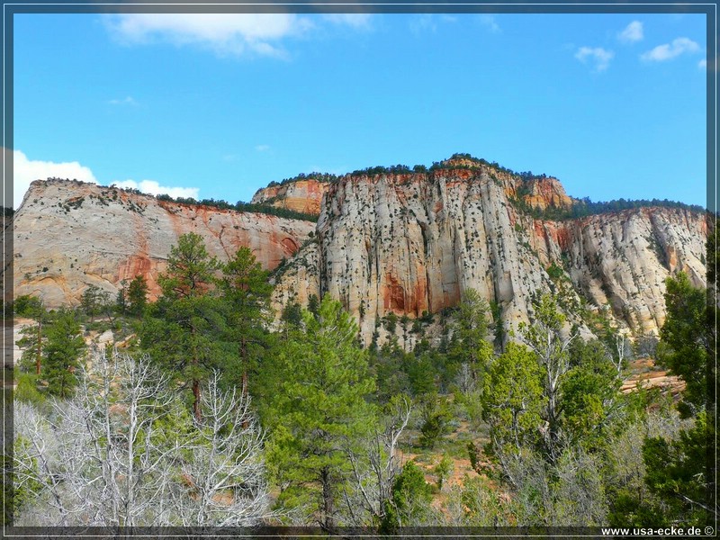 zion-np2011_03