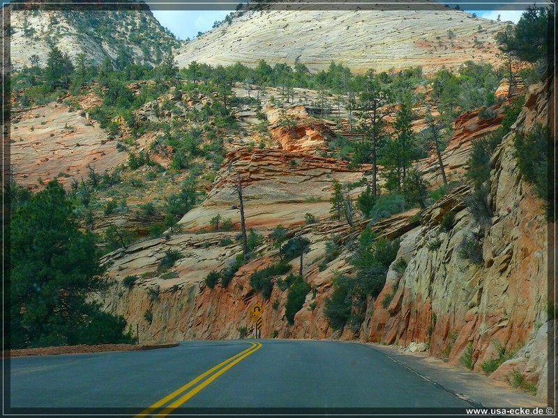 zion-np2011_05