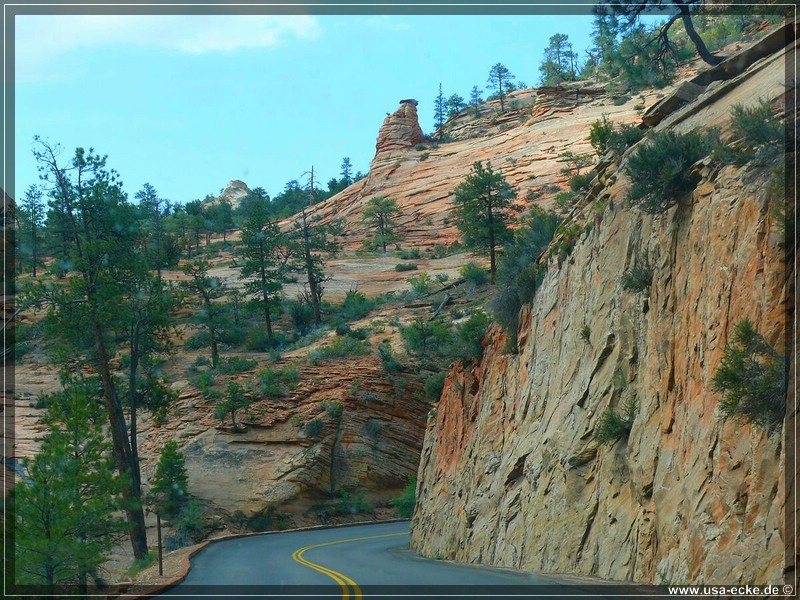 zion-np2011_06