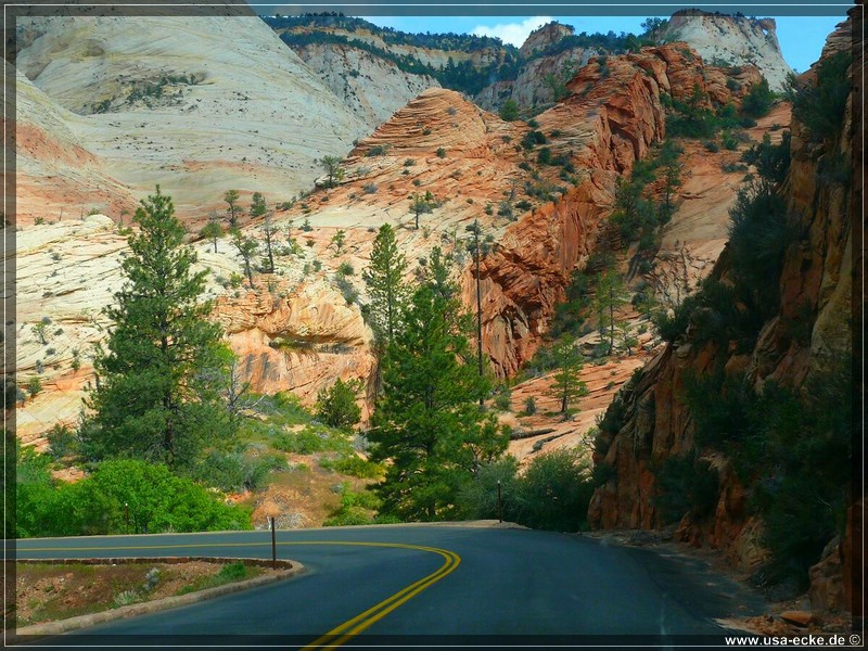 zion-np2011_07