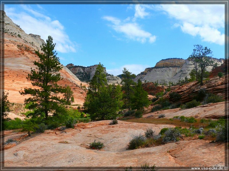 zion-np2011_09