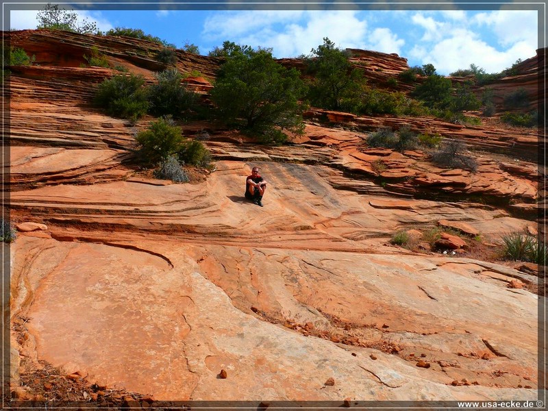 zion-np2011_12