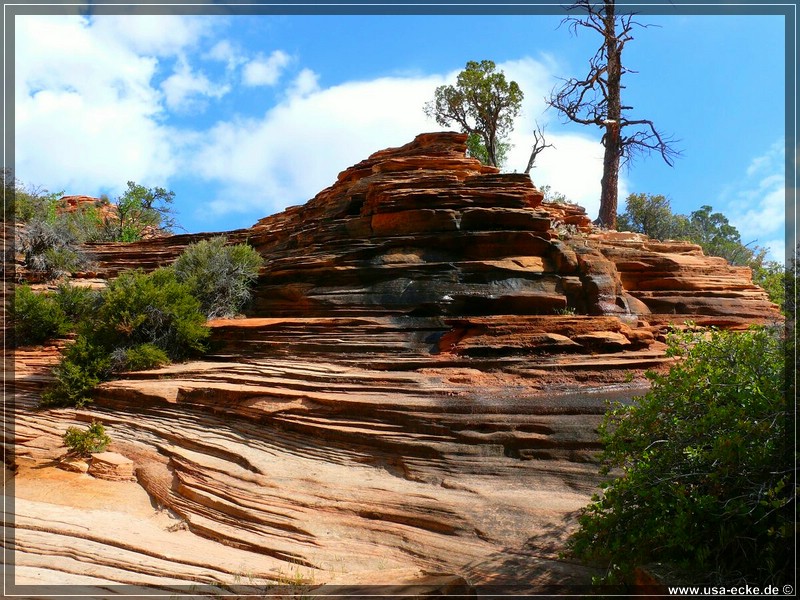 zion-np2011_13