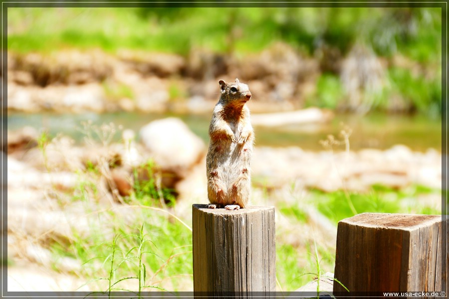 ZionNP2015_079