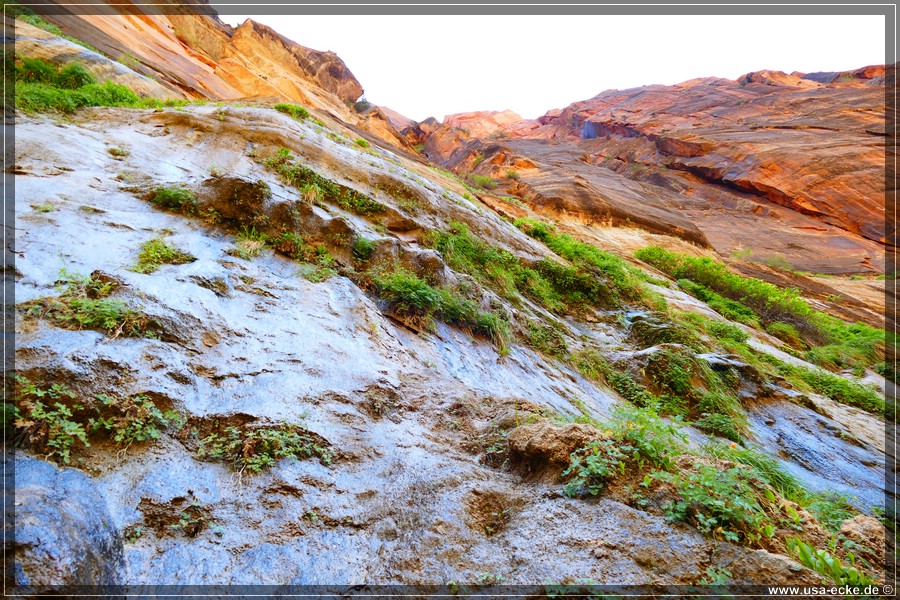 ZionNP2015_084