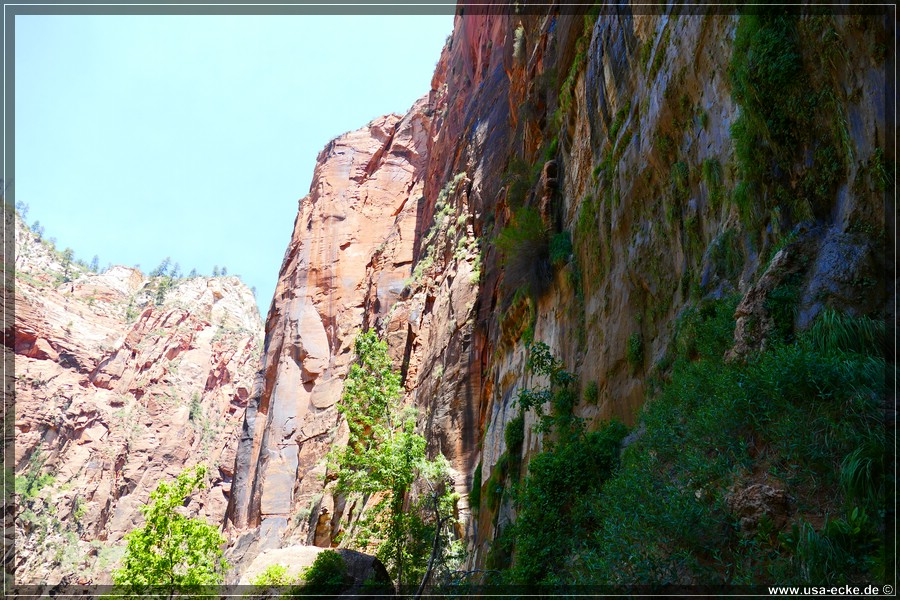 ZionNP2015_085