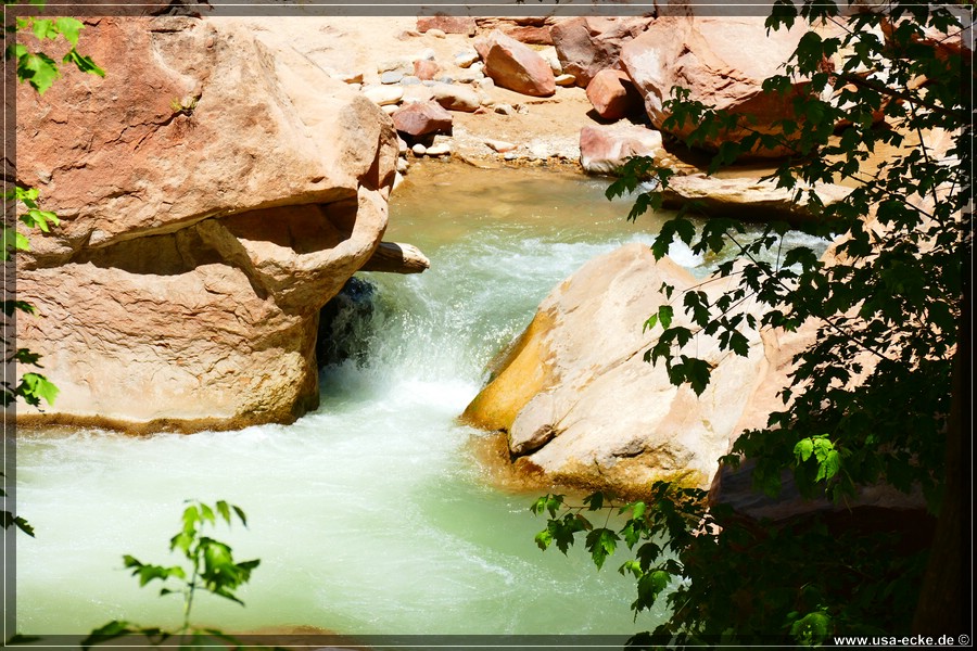 ZionNP2015_086