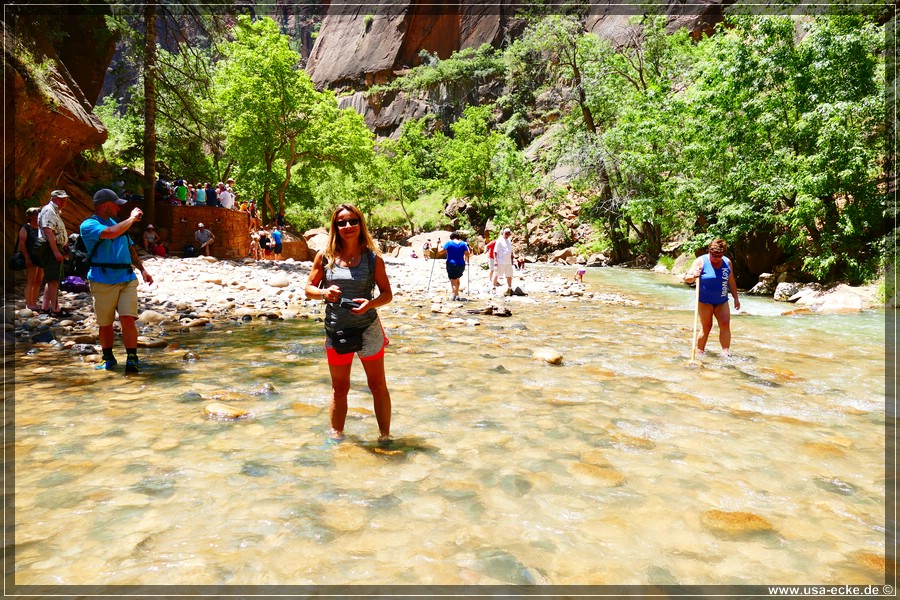 ZionNP2015_087