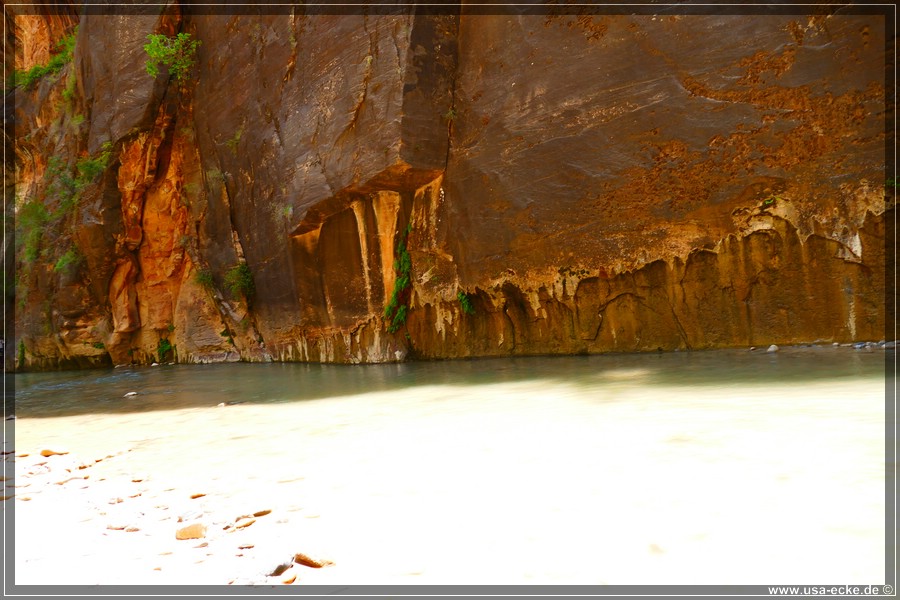 ZionNP2015_089