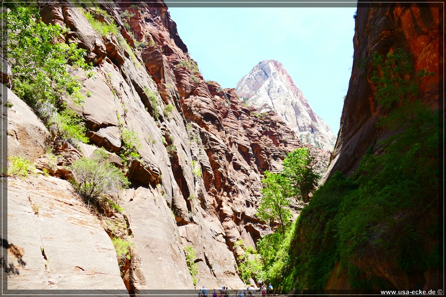 ZionNP2015_090