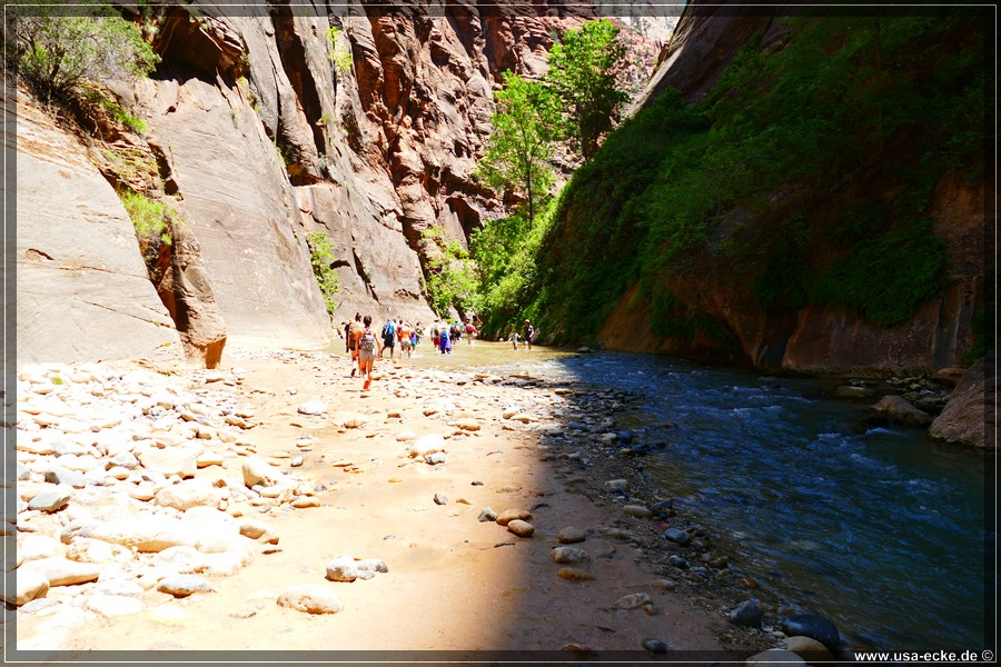 ZionNP2015_091