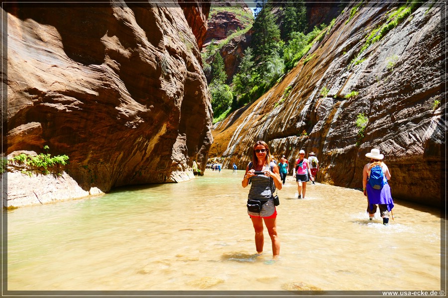 ZionNP2015_093