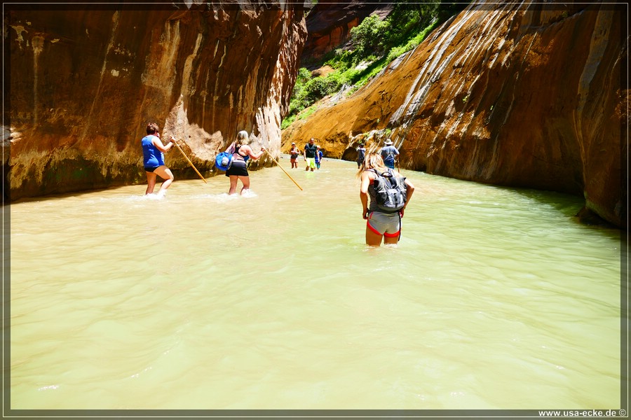 ZionNP2015_095