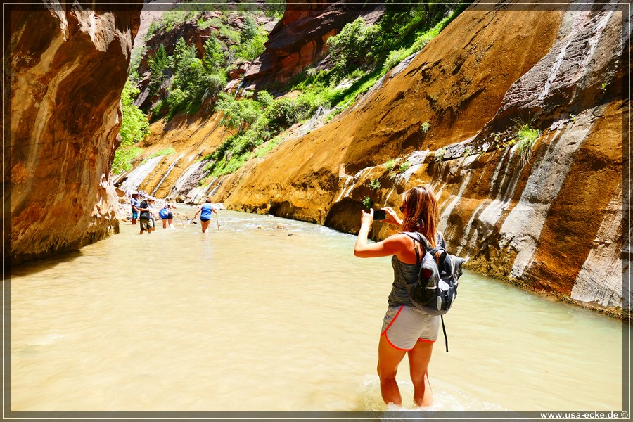 ZionNP2015_097