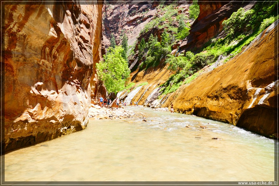 ZionNP2015_098