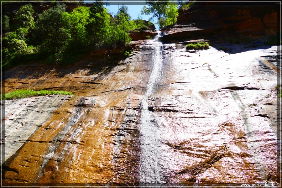 ZionNP2015_099