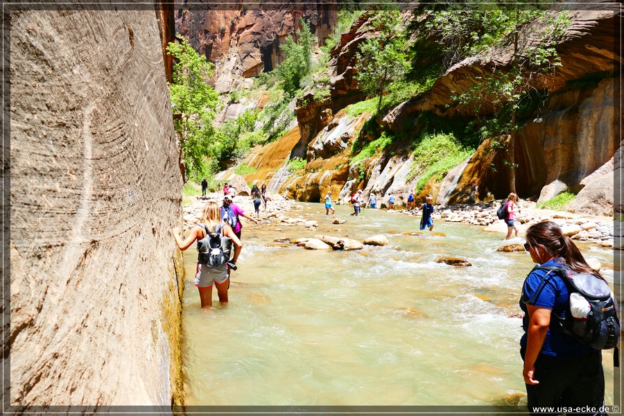 ZionNP2015_103