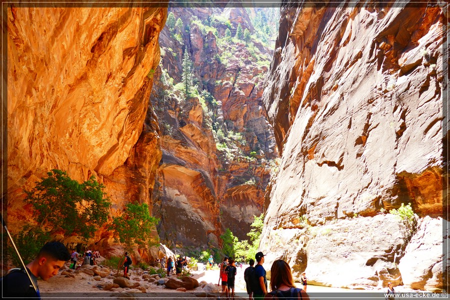 ZionNP2015_105