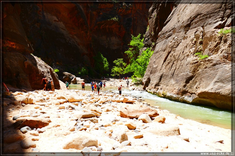 ZionNP2015_107