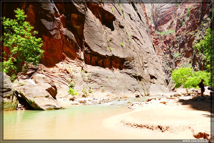 ZionNP2015_114