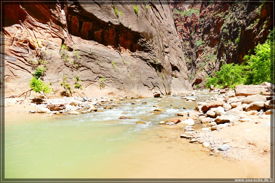 ZionNP2015_115