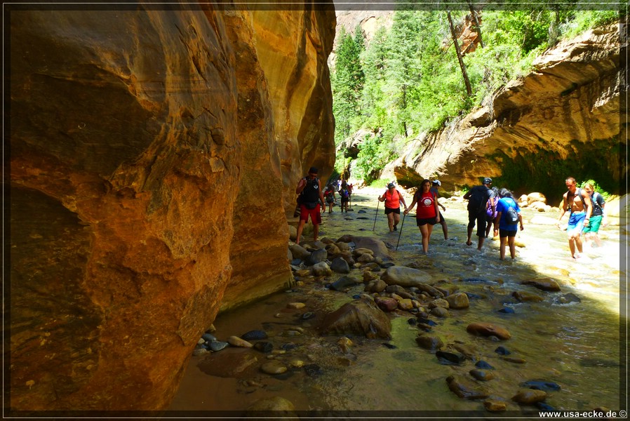 ZionNP2015_127