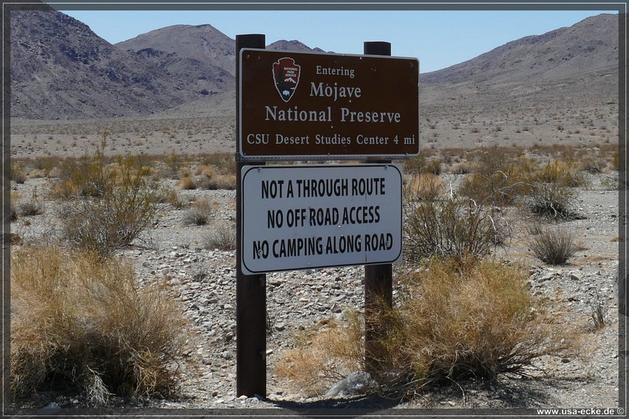 Zzyzx_2025_005