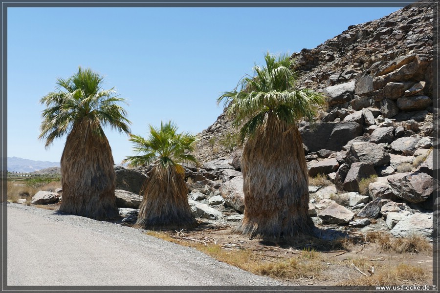 Zzyzx_2025_015