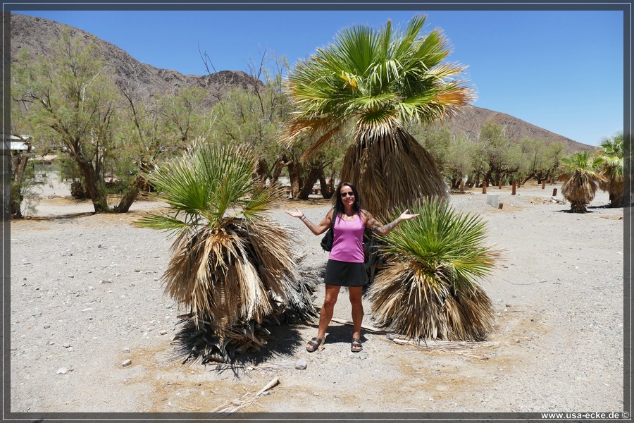 Zzyzx_2025_021