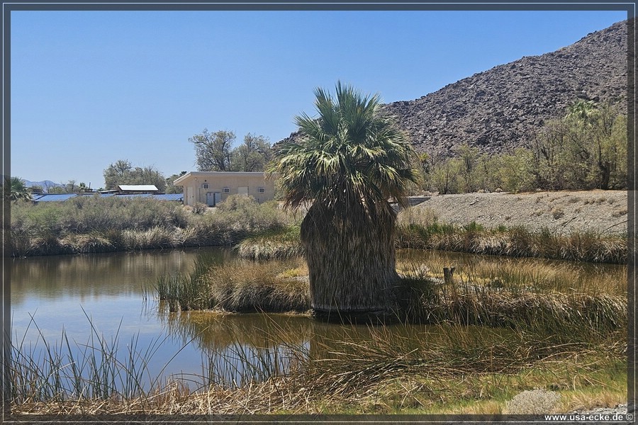 Zzyzx_2025_024