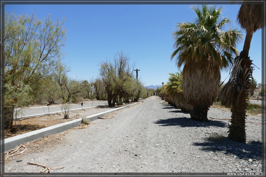 Zzyzx_2025_025