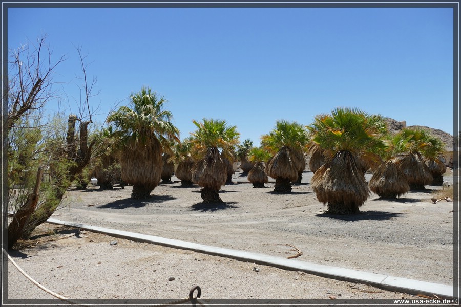 Zzyzx_2025_027