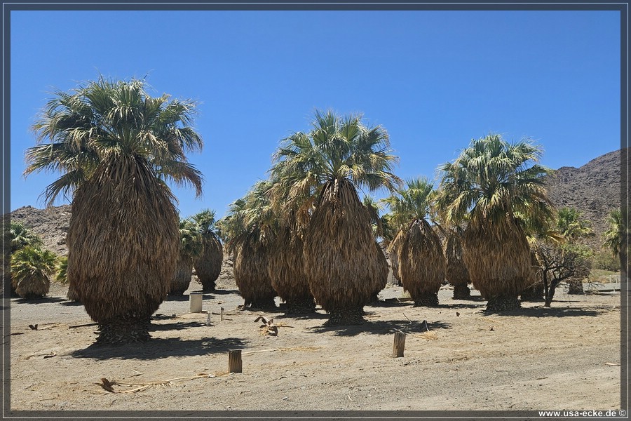 Zzyzx_2025_028