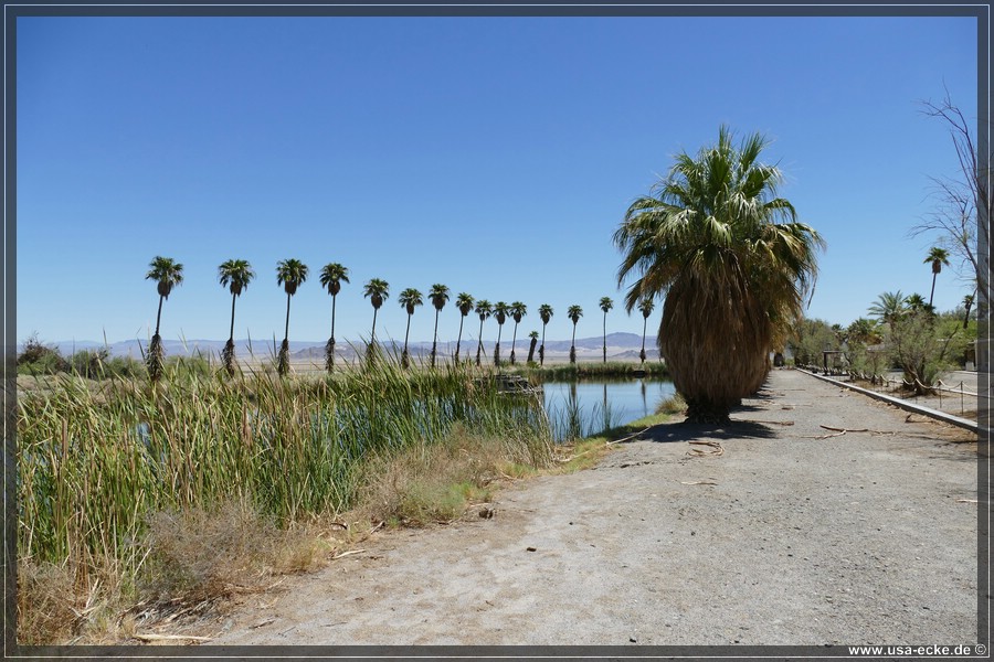 Zzyzx_2025_029