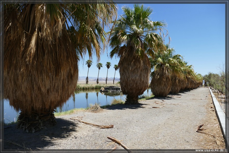Zzyzx_2025_030