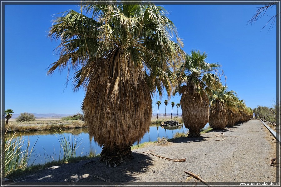 Zzyzx_2025_031
