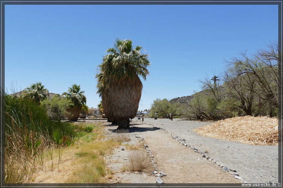 Zzyzx_2025_045