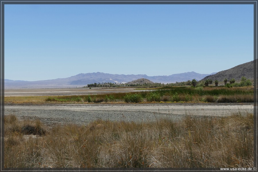 Zzyzx_2025_053