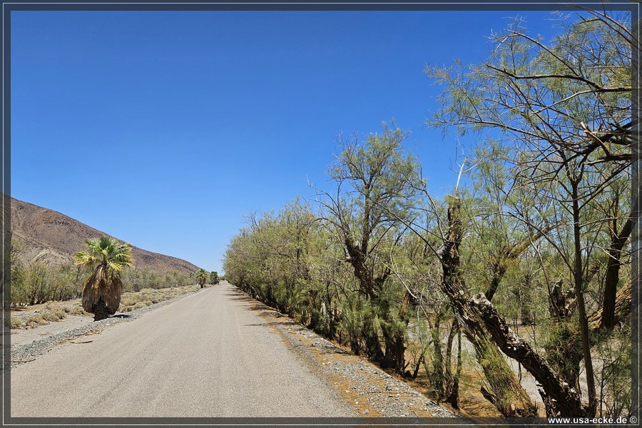 Zzyzx_2025_055