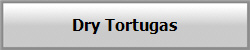 Dry Tortugas